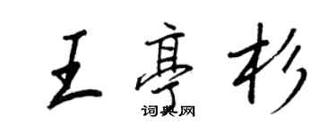 王正良王亭杉行书个性签名怎么写