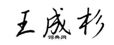 王正良王成杉行书个性签名怎么写