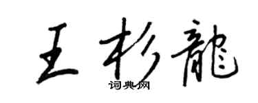 王正良王杉龙行书个性签名怎么写