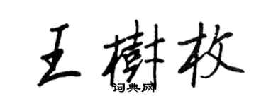 王正良王树枚行书个性签名怎么写