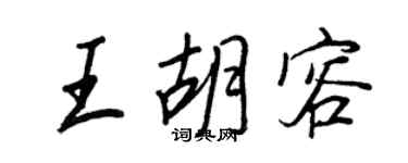 王正良王胡容行书个性签名怎么写