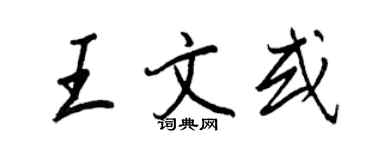 王正良王文或行书个性签名怎么写