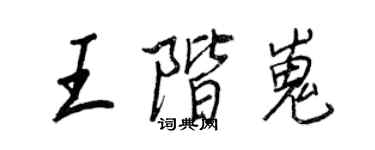 王正良王阶嵬行书个性签名怎么写