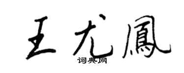王正良王尤凤行书个性签名怎么写