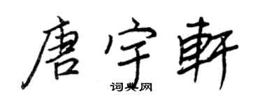 王正良唐宇轩行书个性签名怎么写