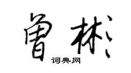 王正良曾彬行书个性签名怎么写