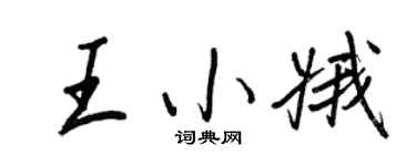 王正良王小娥行书个性签名怎么写