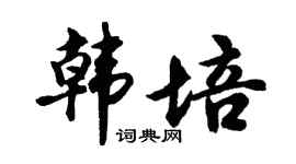 胡问遂韩培行书个性签名怎么写