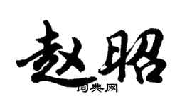 胡问遂赵昭行书个性签名怎么写