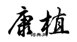 胡问遂康植行书个性签名怎么写
