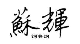 王正良苏辉行书个性签名怎么写