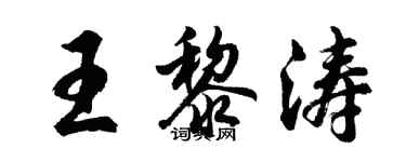 胡问遂王黎涛行书个性签名怎么写