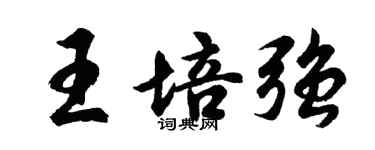 胡问遂王培强行书个性签名怎么写