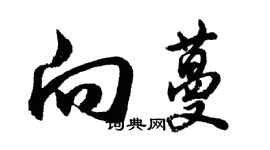 胡问遂向蔓行书个性签名怎么写