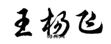 胡问遂王杨飞行书个性签名怎么写