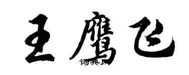 胡问遂王鹰飞行书个性签名怎么写