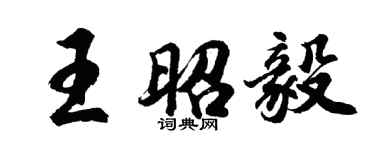 胡问遂王昭毅行书个性签名怎么写