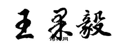 胡问遂王果毅行书个性签名怎么写