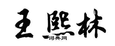 胡问遂王熙林行书个性签名怎么写