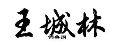 胡问遂王城林行书个性签名怎么写