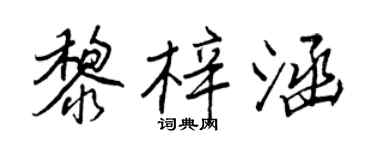 王正良黎梓涵行书个性签名怎么写