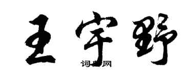 胡问遂王宇野行书个性签名怎么写