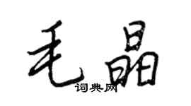 王正良毛晶行书个性签名怎么写