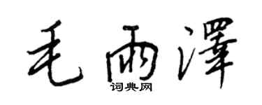 王正良毛雨泽行书个性签名怎么写