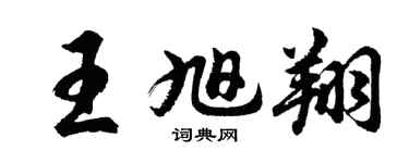 胡问遂王旭翔行书个性签名怎么写