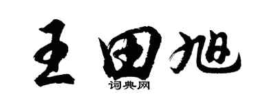 胡问遂王田旭行书个性签名怎么写