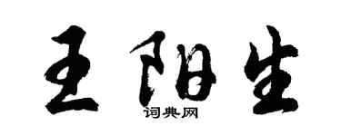 胡问遂王阳生行书个性签名怎么写