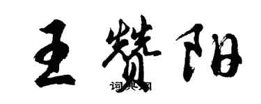 胡问遂王赞阳行书个性签名怎么写