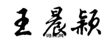 胡问遂王晨颖行书个性签名怎么写
