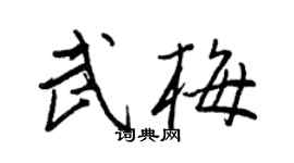 王正良武梅行书个性签名怎么写