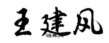 胡问遂王建风行书个性签名怎么写