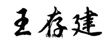 胡问遂王存建行书个性签名怎么写