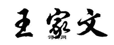 胡问遂王家文行书个性签名怎么写
