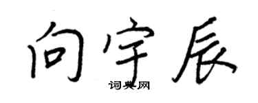 王正良向宇辰行书个性签名怎么写