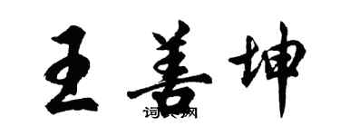 胡问遂王善坤行书个性签名怎么写