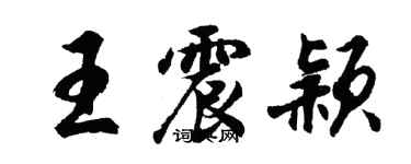 胡问遂王震颖行书个性签名怎么写