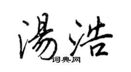 王正良汤浩行书个性签名怎么写