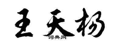 胡问遂王天杨行书个性签名怎么写