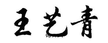 胡问遂王艺青行书个性签名怎么写