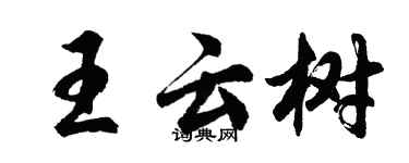 胡问遂王云树行书个性签名怎么写