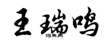 胡问遂王瑞鸣行书个性签名怎么写