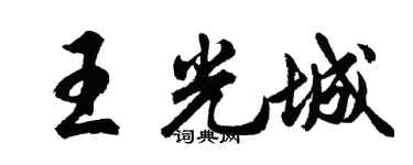 胡问遂王光城行书个性签名怎么写