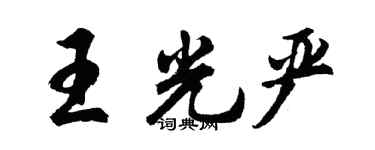 胡问遂王光严行书个性签名怎么写