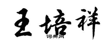 胡问遂王培祥行书个性签名怎么写