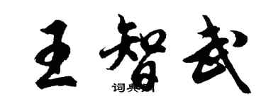 胡问遂王智武行书个性签名怎么写