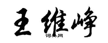 胡问遂王维峥行书个性签名怎么写